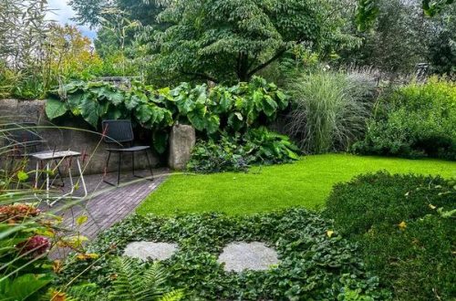 Maximizing Your Garden’s Potential with the Right Fertilizer