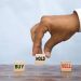 Option Trading App with Best Trading Apps India